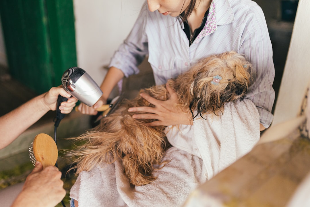 Pet grooming booking demo